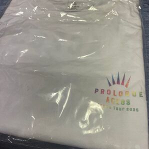ACEes ツアーTシャツ 未使用