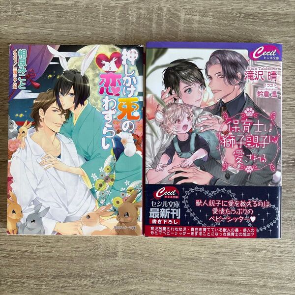 押しかけ兎の恋わずらい、他/相良みこと、他/BL小説