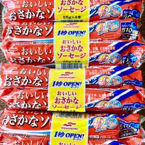 マルハニチロ おいしいおさかなソーセージ 55g ×【16本】魚肉ソーセージ 栄養機能食品(カルシウム) + 教育おりがみ1枚