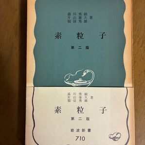 素粒子 第二版 湯川 秀樹 他著 岩波新書