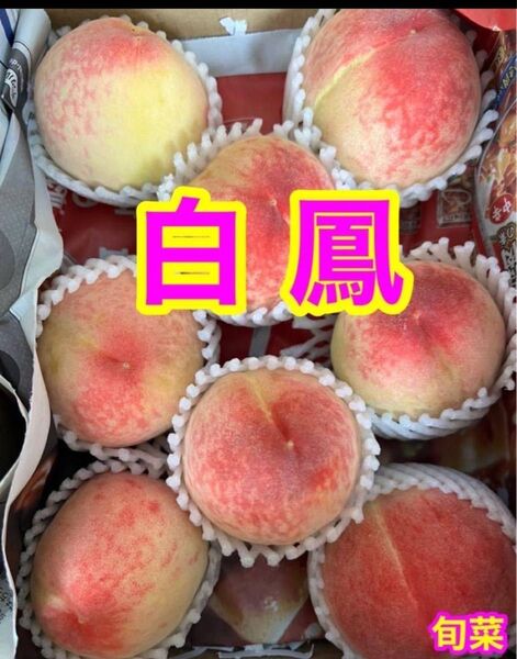 日川白鳳 桃 1kg 5〜8玉 ご家庭用