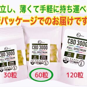 日本語表記・解説あり【正規品】 60粒(約2ヶ月分)