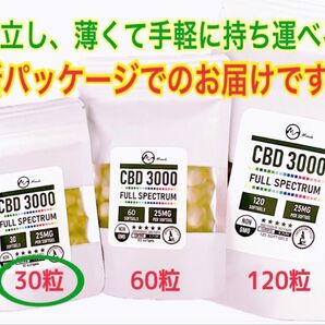 日本語表記・解説あり【正規品】 30粒(約1ヶ月分)