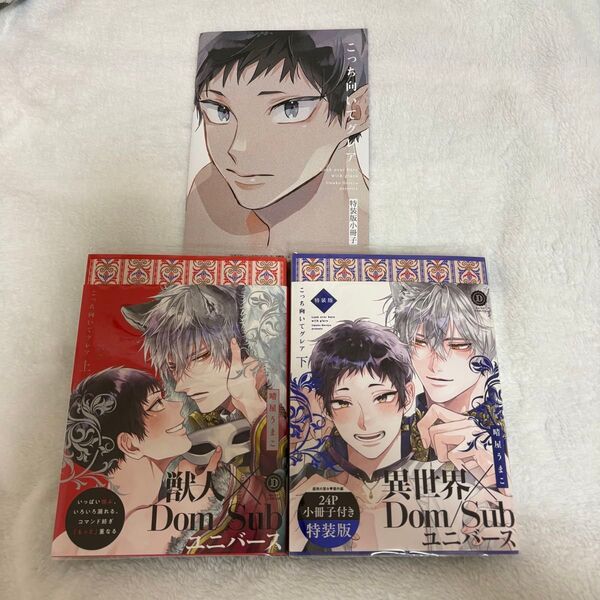 こっち向いてグレア 上下巻 特装版 晴屋うまこ