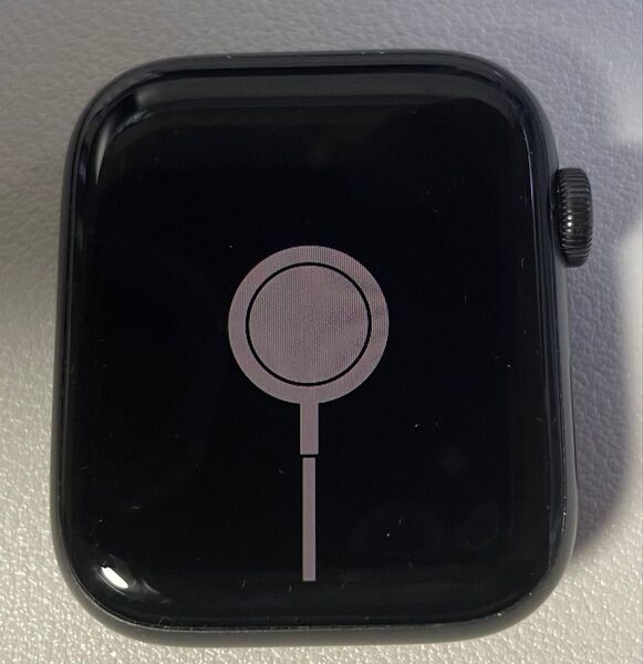 Apple Watch SE 第一世代 44mm【バッテリー劣化】