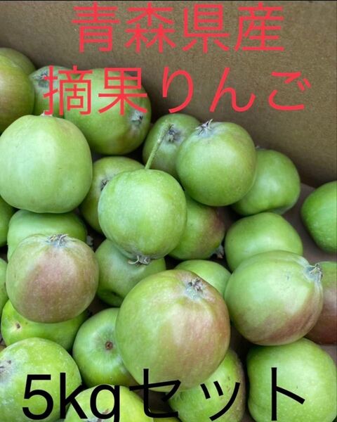 大特価限定セール 青森県産摘果りんご ふじ、ジョナMIX 5kg