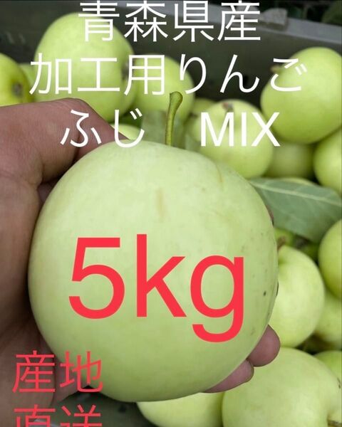残り僅か 大特価限定セール 青森県産摘果りんご ふじMIX 大きめ 5kg