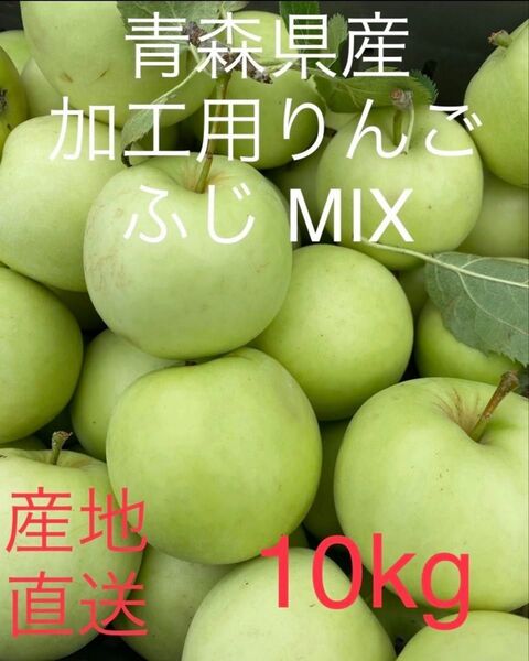残り僅か 大特価限定セール 青森県産摘果りんご ふじMIX 大きめ 10kg
