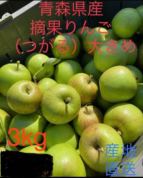 大特価限定セール 青森県産摘果りんご ふじ、つがるMIX 大きめ 3kg