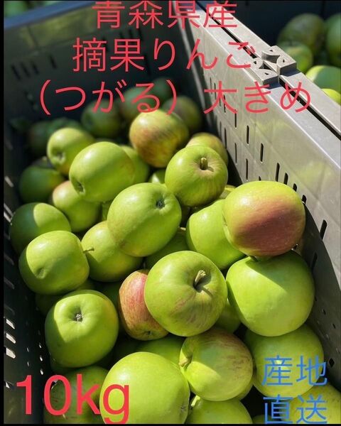 大特価限定セール 青森県産摘果りんご ふじ、つがるMIX 大きめ 10kg