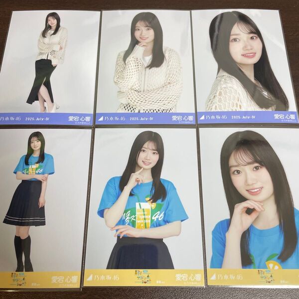 愛宕心響 乃木坂46 真夏の全国ツアー 2025 Tシャツ 静岡ver. メッシュニット 生写真 6種コンプ