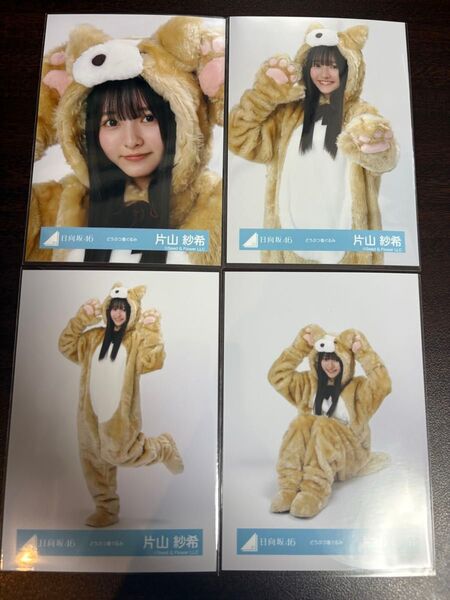 片山紗希 日向坂46 どうぶつ着ぐるみ 生写真 4種コンプ