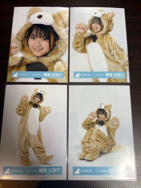 蔵盛妃那乃 日向坂46 どうぶつ着ぐるみ 生写真 4種コンプ