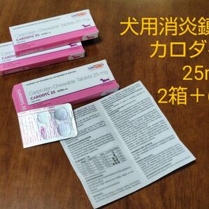犬用消炎鎮痛剤 カロダイル 25mg 2箱+6錠