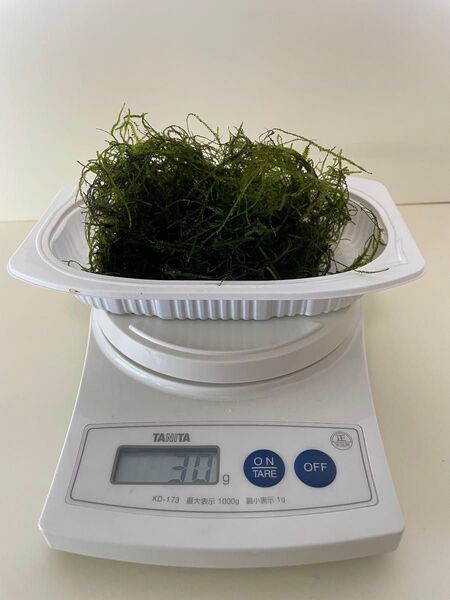 ウィローモス 30g.