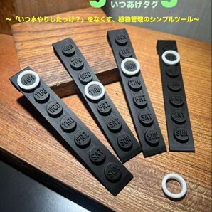 ituagetagいつあげタグ 植物の水やり確認ツール4個セット 塊根植物 珍奇植物 観葉植物 園芸便利ツール 鉢植え プランター