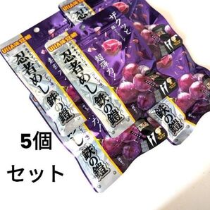 UHA味覚糖 忍者めし 鉄の鎧 グレープ味 5袋