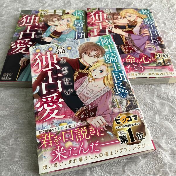 極上騎士団長の揺るぎない独占愛 1 ー3巻(BF COMICS な3-1) 直江亜季子/作画 黒乃梓/原作 ファンタジーコミック