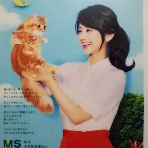 堀北真希 クリアファイル MS&AD 三井住友海上