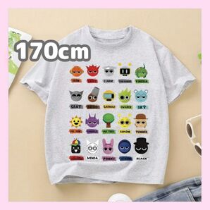 ラスト1点 スプランキー 半袖Tシャツ 170cm グレー オールスター