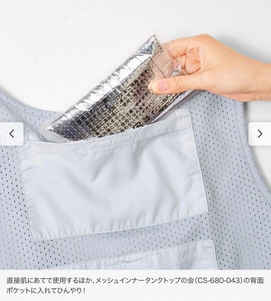 フェリシモ FELISSIMO ひんやり長持ち アイスゲルパック 2個セット クールベスト用保冷剤