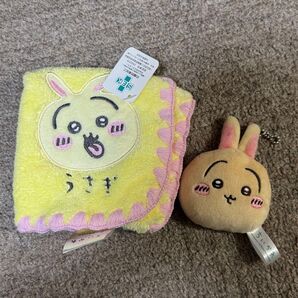 うさぎセット