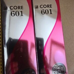 ワコーズ CORE601×2