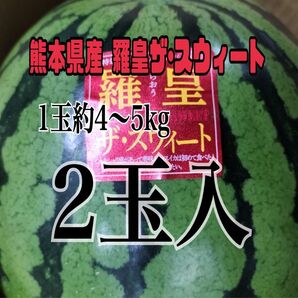 熊本植木産 スイカ 羅皇ザ・スウィート1玉約4~5kg 家庭用(2玉入)