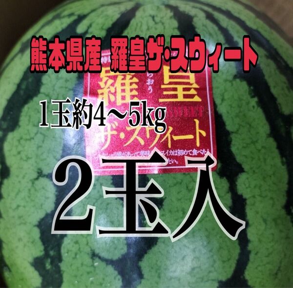 熊本植木産 スイカ 羅皇ザ・スウィート1玉約4~5kg 家庭用(2玉入)
