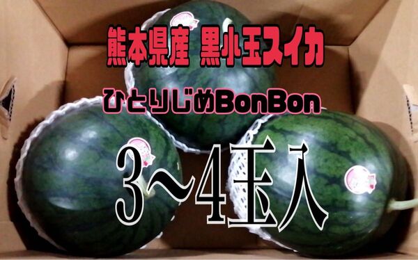 熊本植木産 黒小玉スイカ ひとりじめBonBon (3~4玉入)