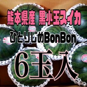 熊本県産 黒小玉スイカ ひとりじめBonBon (6玉入)