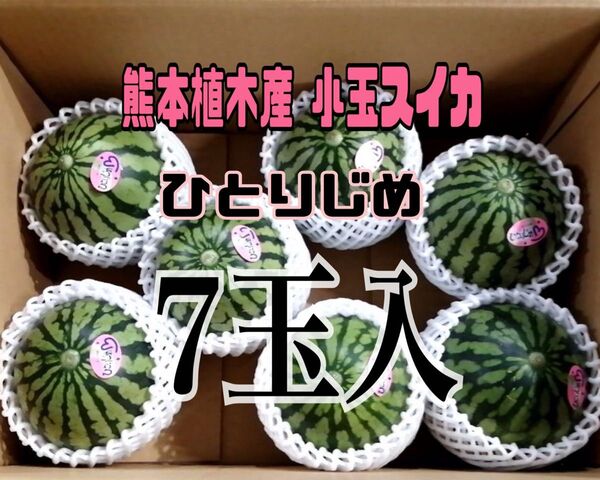熊本植木産 小玉スイカ ひとりじめ (7玉入)