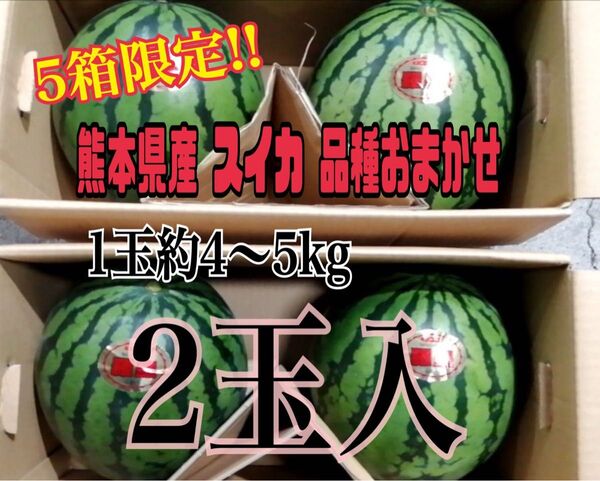 【5箱限定!!】熊本県産 スイカ 品種おまかせ 1玉約4~5kg(2玉入)