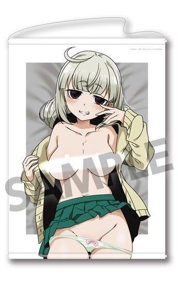 魔法少女にあこがれて 阿良河キウィ B2タペストリー 超あこがれver まほあこ