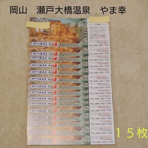 岡山 瀬戸大橋温泉 やま幸 ご入場券 15枚
