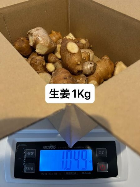 高知県産親生姜1Kg