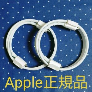 Apple純正品 ライトニングケーブル USB-C to Lightning
