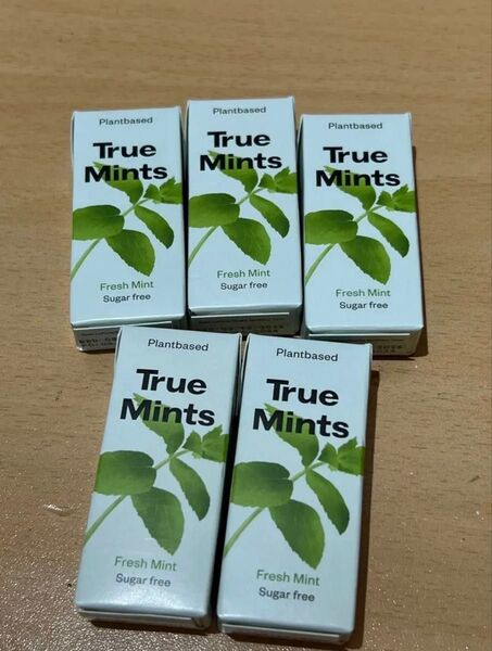 True Mints タブレット フレッシュミント味 13g×5個 賞味期限2026.12