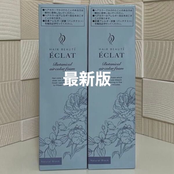 ヘアボーテ エクラ ボタニカル エアカラーフォームup ナチュラルブラック 150g×2 ブラック ヘアカラー 新品 未開封