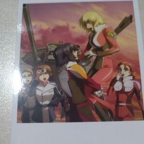 ガンダムSEED カガリ アスラン