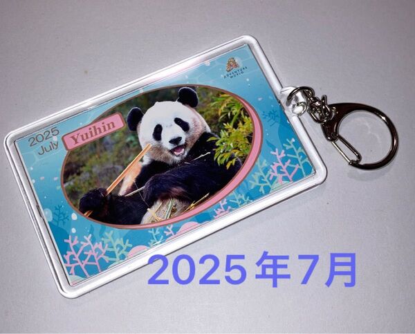 アドベンチャーワールド 結浜 & ファミリー 両面写真 アクリルキーホルダー 2025年7月