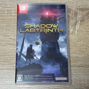Switch シャドウラビリンス 特典コード未使用