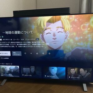 東芝 REGZA レグザ 4K 55インチ