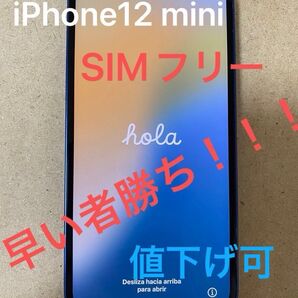 iPhone 12 mini ブルー 256GB SIMフリー