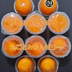 【アウトレット品】みかんゼリー 2種 10個セット