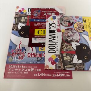 ボークス ホームタウンドルパ 大阪10 入場券 公式ガイドブック ワンオフ券切り抜きあり