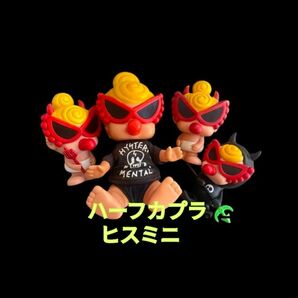 ハーフカプラ②