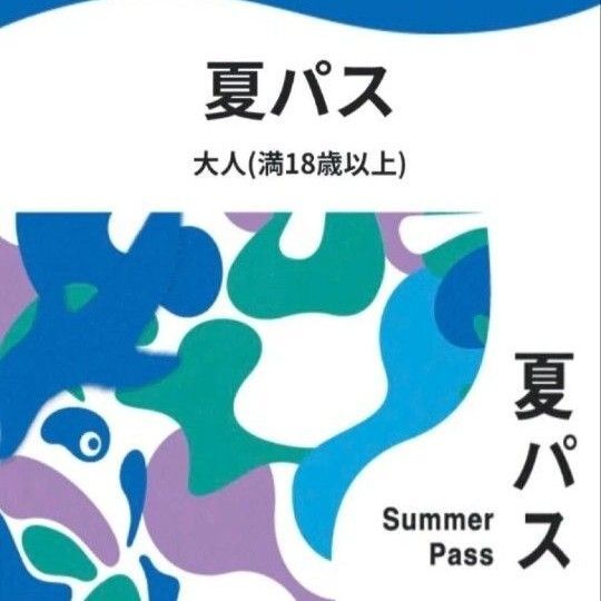 夏パス EXPO2025 大人 大阪関西万博 関西万博 大阪万博