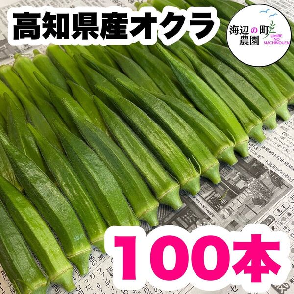 夏野菜【高知県産オクラ】A品&B品 100本 おくら 野菜 産地直送!Mrv