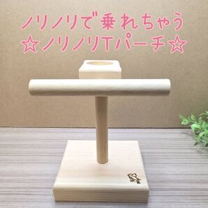 ノリノリで乗れちゃう♪ ☆ノリノリTパーチ☆
